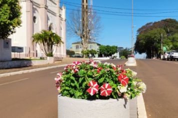 Foto - Embelezamento da cidade