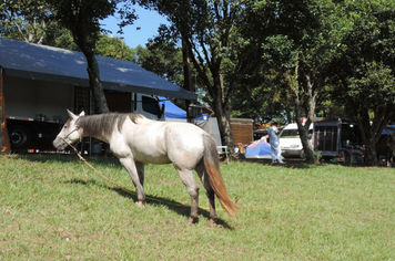 Foto - 12º Rodeio Crioulo de Pejuçara está acontecendo no Parque de Exposições