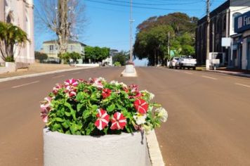 Foto - Embelezamento da cidade