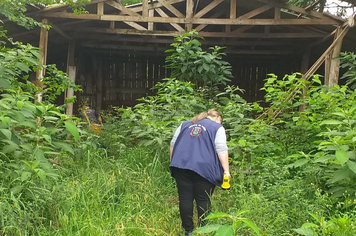Foto - Agentes fazem levantamento sobre infestação do mosquito da Dengue