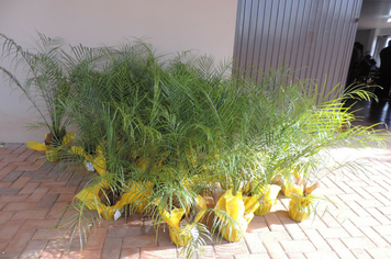 Foto - Ato marca entrega de 34 casas aos beneficiários do loteamento Caminho das Palmeiras