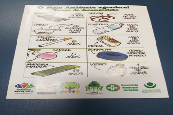 Foto - Cepib promove dia de atividade sobre o meio ambiente