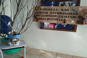 Foto - Cepib promove dia de atividade sobre o meio ambiente