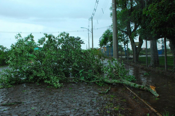 Foto - chuva e vento estragos