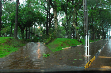 Foto - chuva e vento estragos