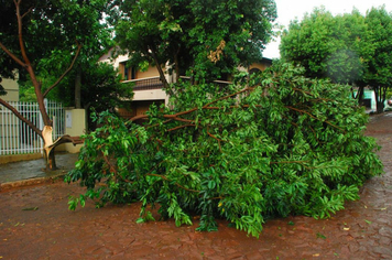 Foto - chuva e vento estragos