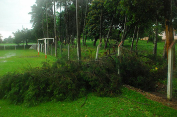 Foto - chuva e vento estragos