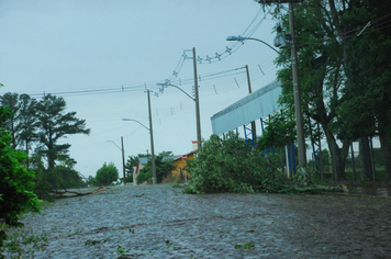 Foto - chuva e vento estragos