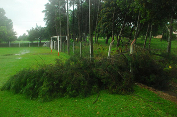 Foto - chuva e vento estragos