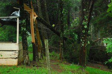 Foto - chuva e vento estragos