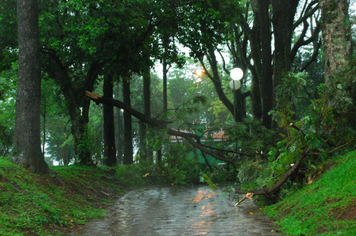 Foto - chuva e vento estragos