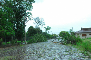 Foto - chuva e vento estragos