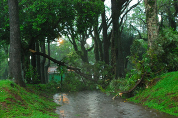 Foto - chuva e vento estragos