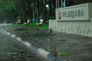 Foto - chuva e vento estragos