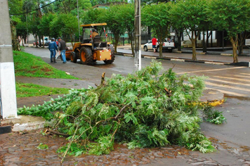 Foto - chuva e vento estragos