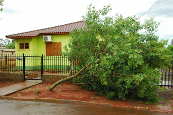 Foto - chuva e vento estragos