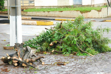 Foto - chuva e vento estragos