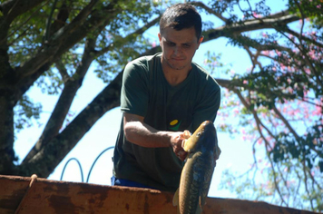 Foto - Feira do Peixe