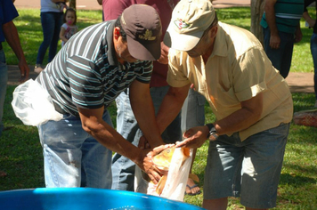 Foto - Feira do Peixe