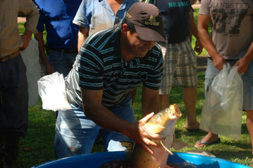 Foto - Feira do Peixe