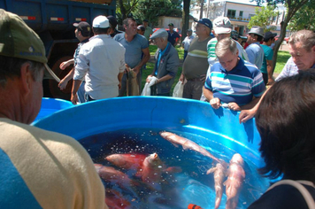 Foto - Feira do Peixe