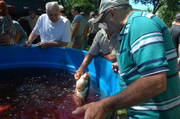 Foto - Feira do Peixe