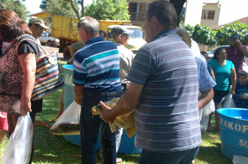 Foto - Feira do Peixe