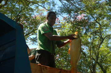 Foto - Feira do Peixe