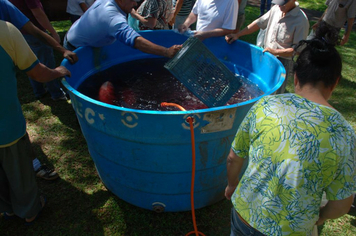 Foto - Feira do Peixe