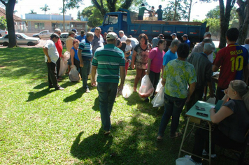 Foto - Feira do Peixe