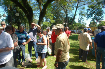 Foto - Feira do Peixe