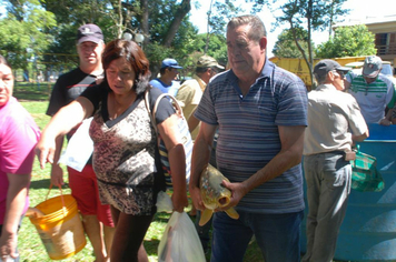 Foto - Feira do Peixe