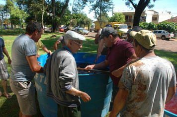 Foto - Feira do Peixe