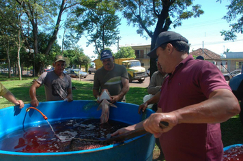 Foto - Feira do Peixe