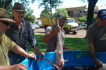 Foto - Feira do Peixe