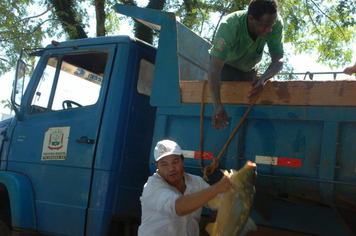 Foto - Feira do Peixe