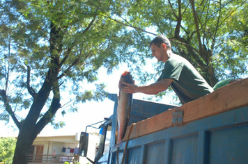 Foto - Feira do Peixe