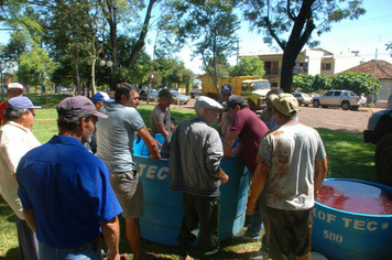 Foto - Feira do Peixe