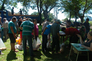 Foto - Feira do Peixe