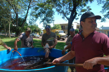 Foto - Feira do Peixe