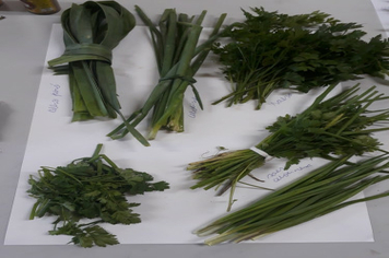 Foto - OFICINA PDE ANOS INICIAIS