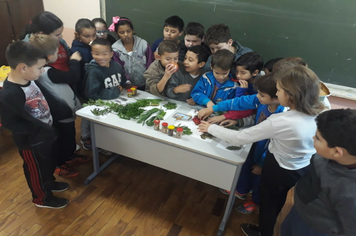 Foto - OFICINA PDE ANOS INICIAIS