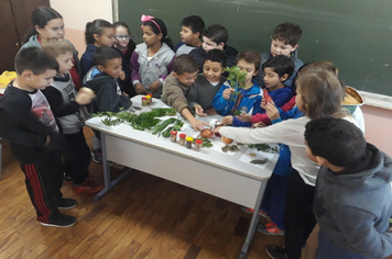 Foto - OFICINA PDE ANOS INICIAIS