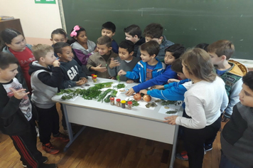 Foto - OFICINA PDE ANOS INICIAIS