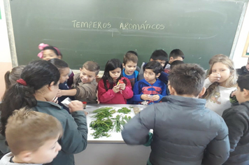 Foto - OFICINA PDE ANOS INICIAIS