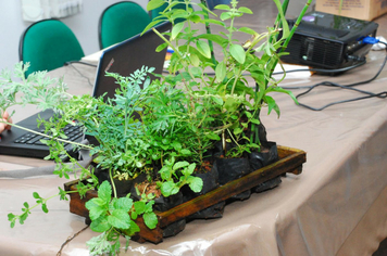 Foto - Palestra Emater: plantas medicinais