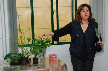 Foto - Palestra Emater: plantas medicinais