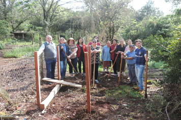 Foto - Parceria entre Município e Emater fomenta produção de hortaliças