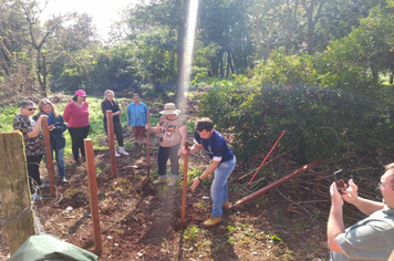 Foto - Parceria entre Município e Emater fomenta produção de hortaliças