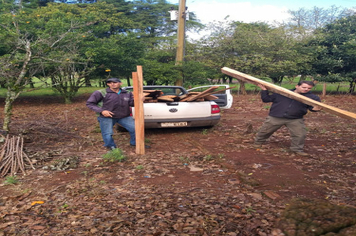 Foto - Parceria entre Município e Emater fomenta produção de hortaliças